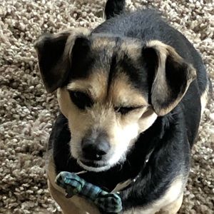 Meet your Posher, Jamie